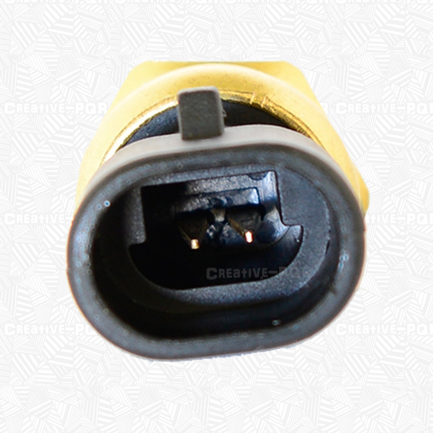 Coolant Temp Sensor for Holden Statesman WH (1999–2003)