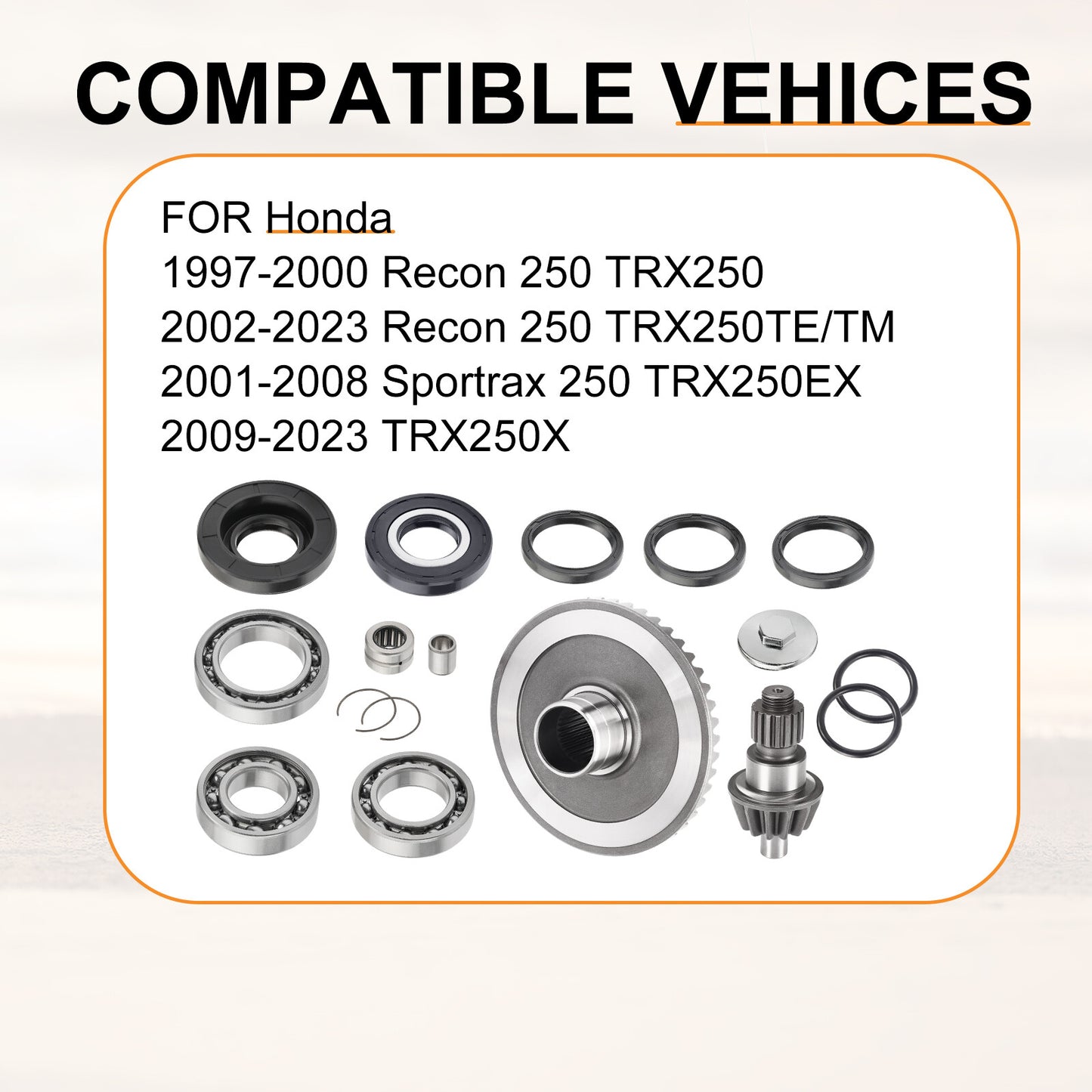 Rear Differential Rebuild with Gear Kit for Honda Recon 250 (1997–2023)