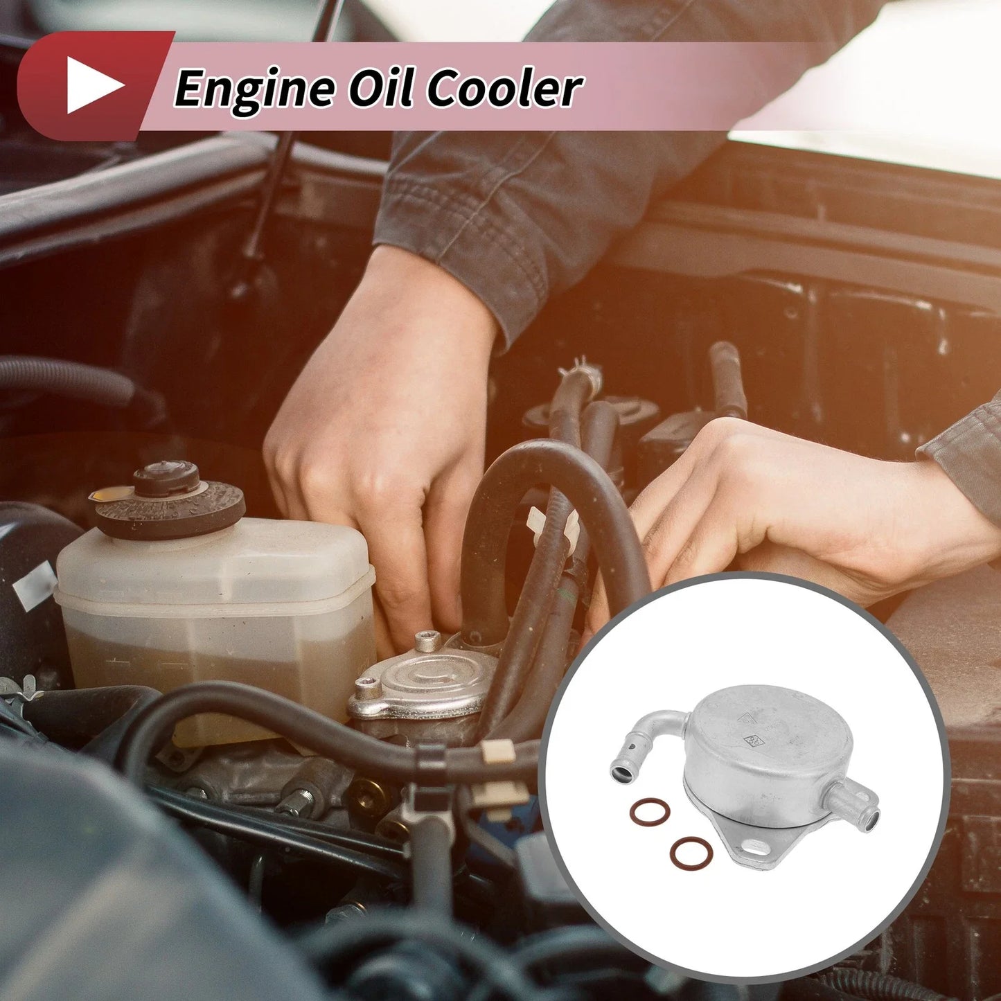 Engine Oil Cooler for Lexus IS250 V6 2.5L (2006-2011) - 1 Set