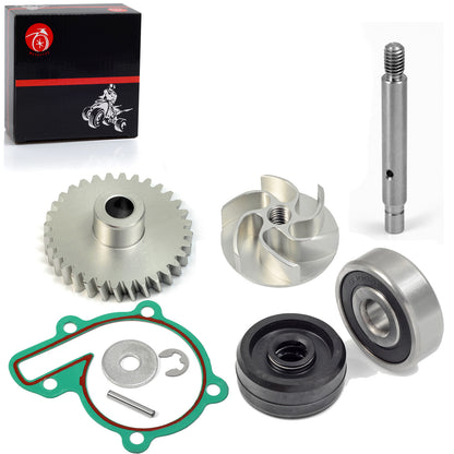 Complete Rebuild Kit for Banshee (1987–2006)