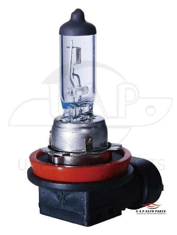 H11 Halogen Globe Bulb 12V 55W Long Life Michiba 10x