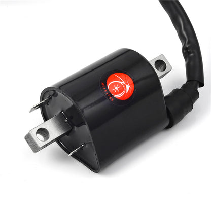 2X Ignition Coil for Yamaha V Star 650 (1998–2016)