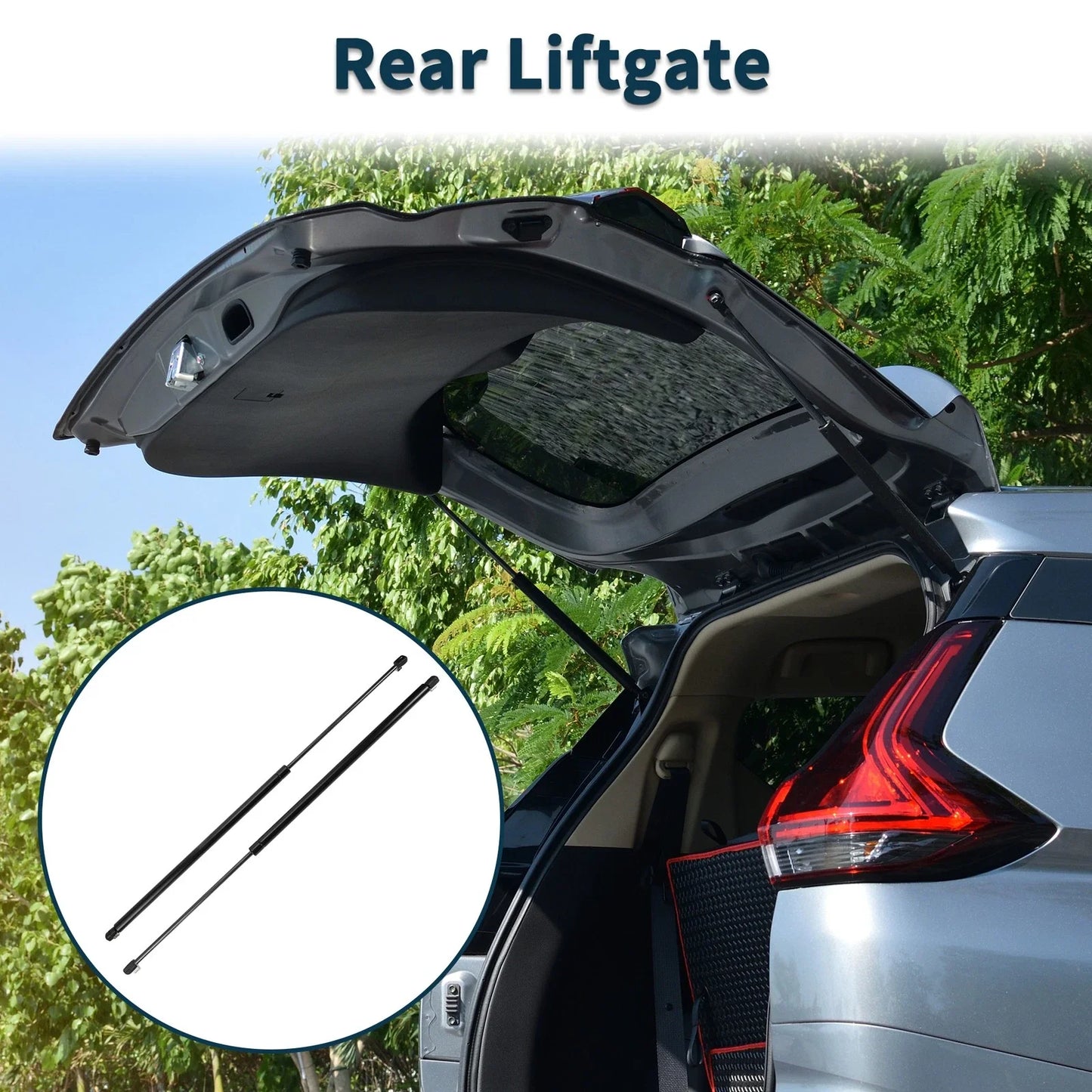 Rear Hatch Lift Supports for Chevrolet Corvette Hatchback (2005-2013)