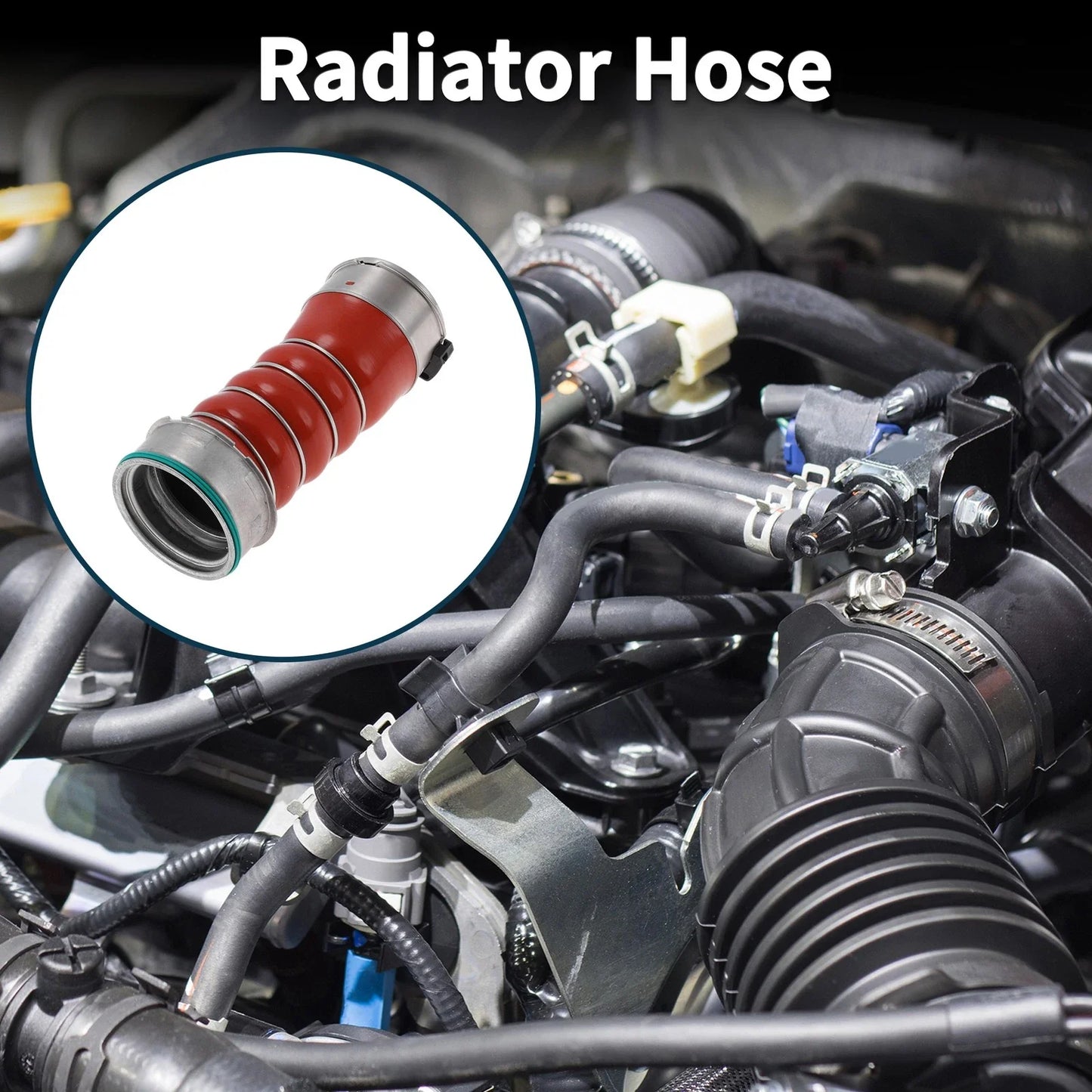 Radiator Hose for BMW X5 (2010-2013)