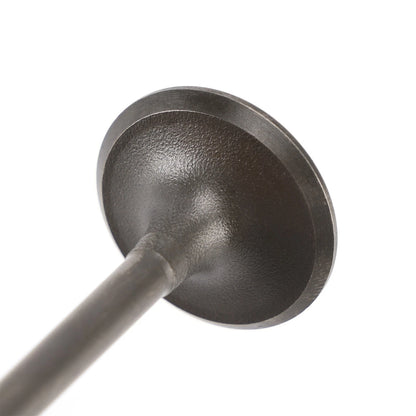 Exhaust Valve + Intake for Yamaha YBR 125 TT-R 125 XT 125 R X (2002–2023)