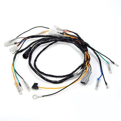 Wire Harness for Yamaha Blaster YFS200 (1997–2001)