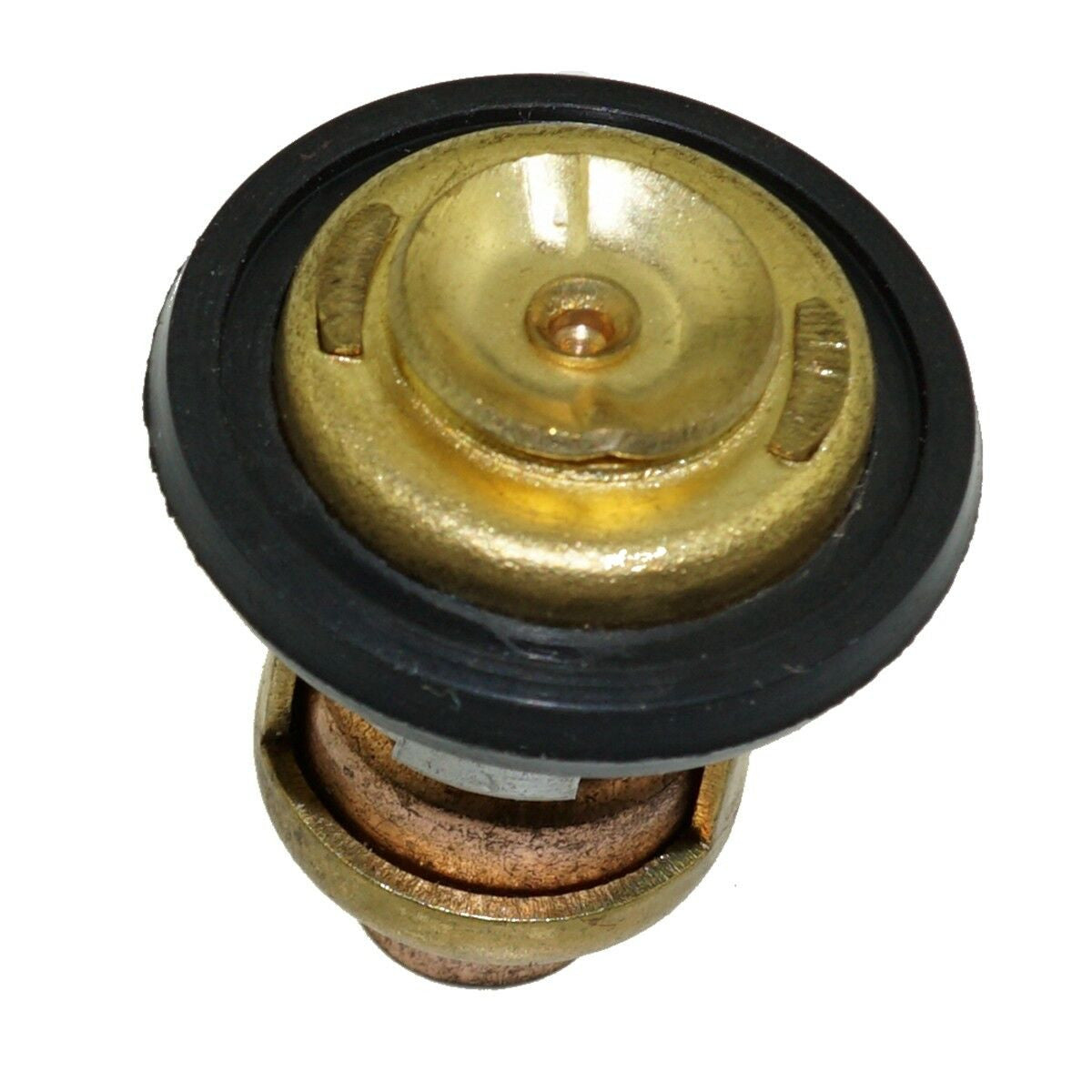 Thermostat Kit for Yamaha Outboard Motor (4-Stroke 6/8/9.9 HP)