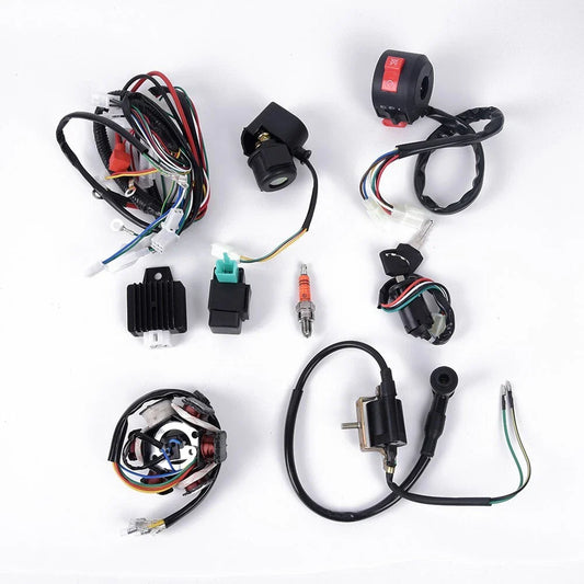 CDI WIRE HARNESS-STATOR ASSEMBLY for ATV Electric-Quad