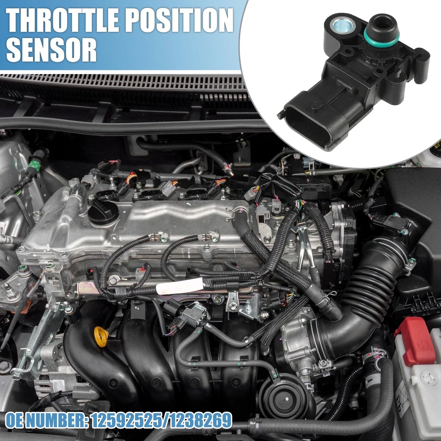 Throttle Position Sensor for Chevrolet Camaro (2012-2015)