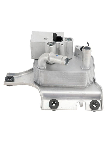50cc Piston Cylinder Kit for Peugeot Kisbee Speedfight 3 4 Vivacity (2003–2018)