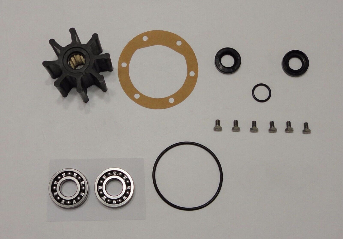 Major Repair Kit for Volvo Penta Pump (AD30A, AQAD30A, AD31A, TAMD30A)