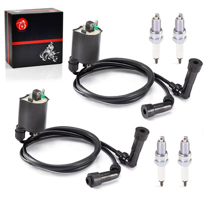 Ignition Coil and Spark Plug for Kawasaki VN1600 Vulcan 1600 (2003–2007)