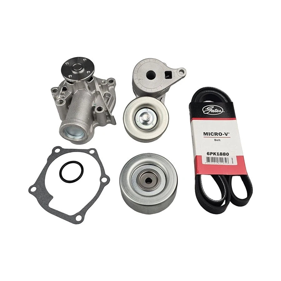 Drive Belt