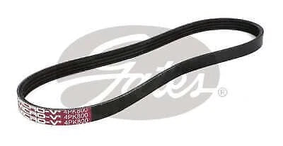 Drive Belt