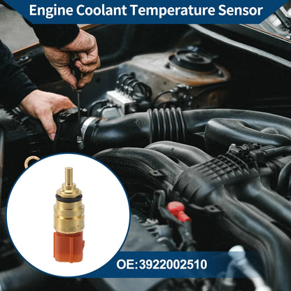 Engine Coolant Temperature Sensor   No. 3922002510