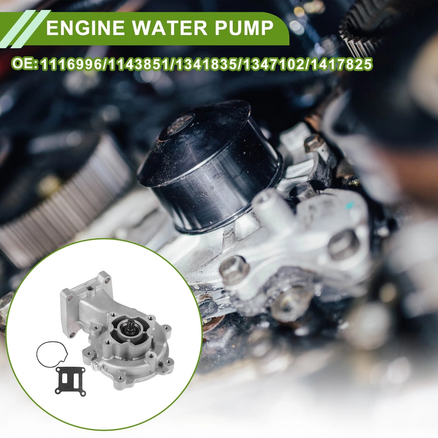 Engine Water Pump for Ford Mondeo (No. 1116996/1143851)