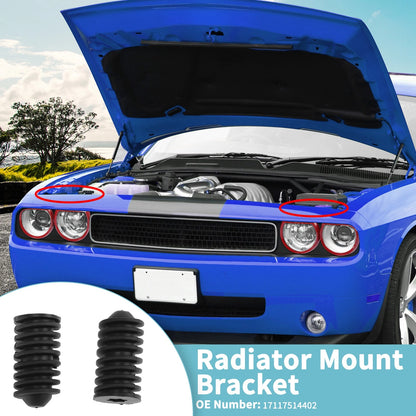 Set of 2 Radiator Mount Brackets for BMW 320i E46 (1997–2006) 17117514402