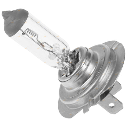 2x H7 24V Halogen Headlight Bulbs for Various Models