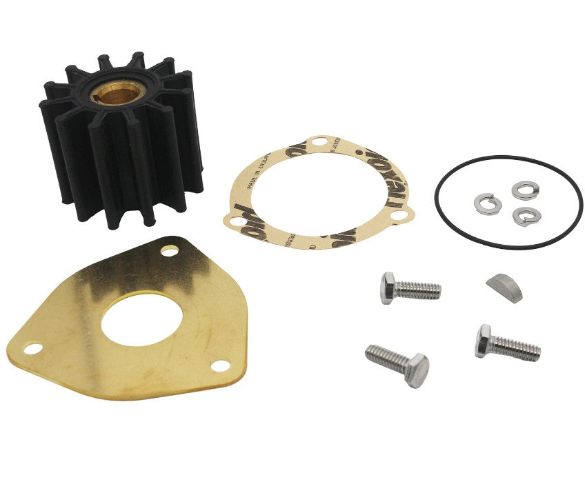Minor Repair Kit for Sherwood Pump (GC1, GC4, GC5)