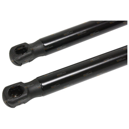 2X Boot Lid Gas Struts for Holden Commodore VE Sedan (2006–2013)
