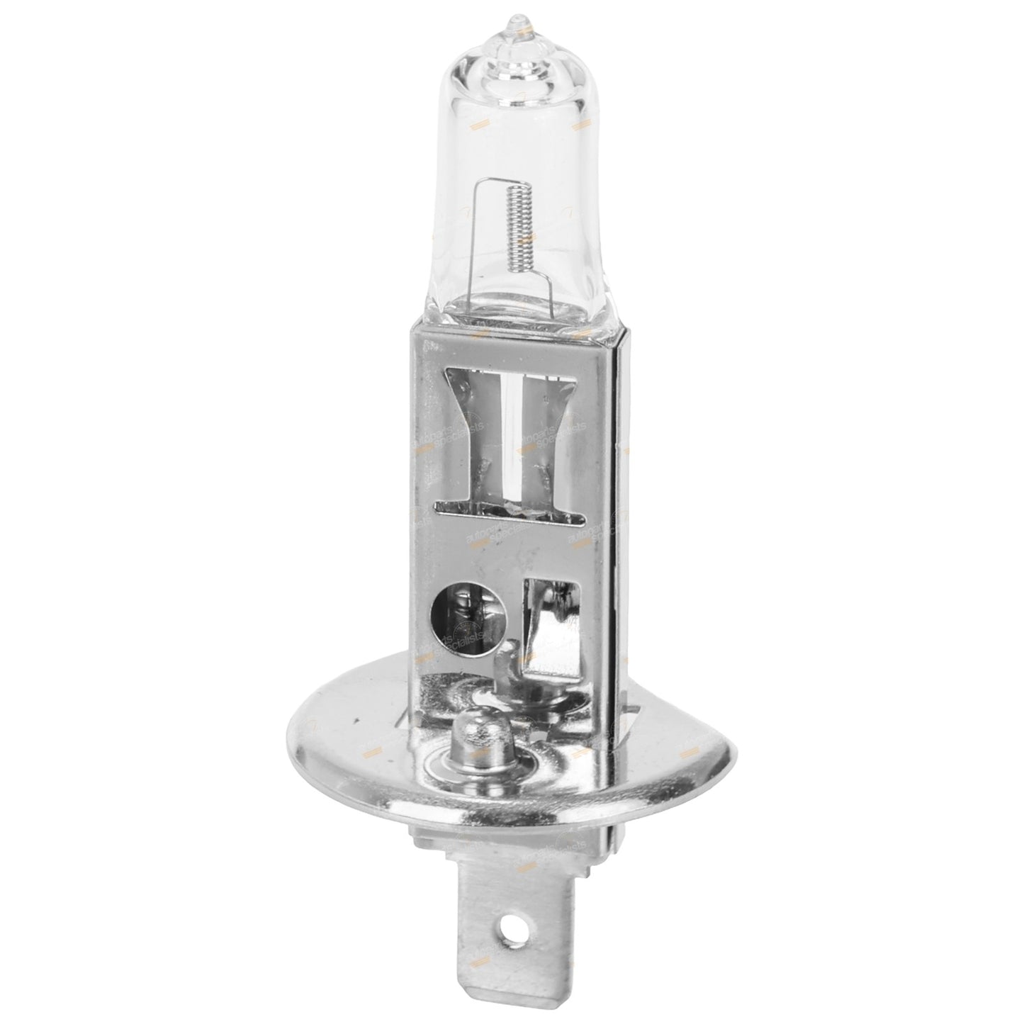 Halogen Bulb H1 for Motorchamp (12V 100W)