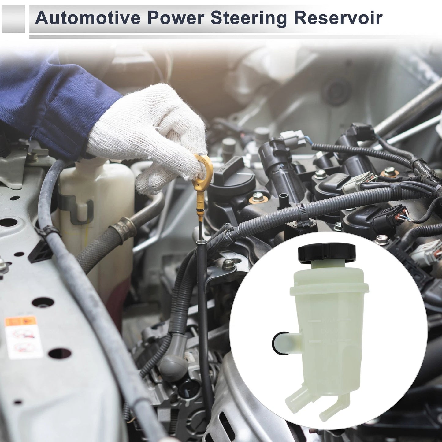 Power Steering Reservoir for Ford Focus (2000–2004) 1 Pc Beige
