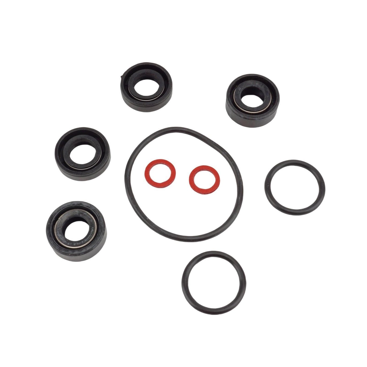 Lower Unit Seal Kit for Yamaha 2 HP Outboard Motor (1990–2023)