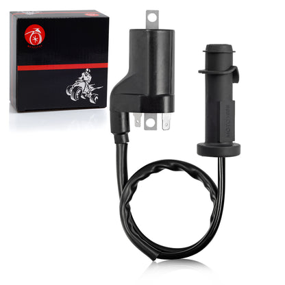 Ignition Coil Pack & Spark Plug Set for Arctic Cat 550 700 1000 (2009–2016)