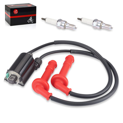 Ignition Coil & Spark Plug for Honda CBR600F2 CBR600F3 (1991–1998)