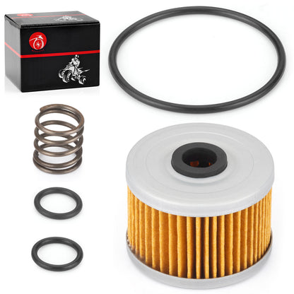 Oil Filter & Spring for Honda FourTrax 300 TRX300/FW (1998–2000)