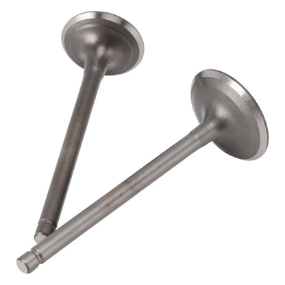Exhaust Valve + Intake for Yamaha TW200 YP250 TT-R XT225 YFM250 (1999–2023)