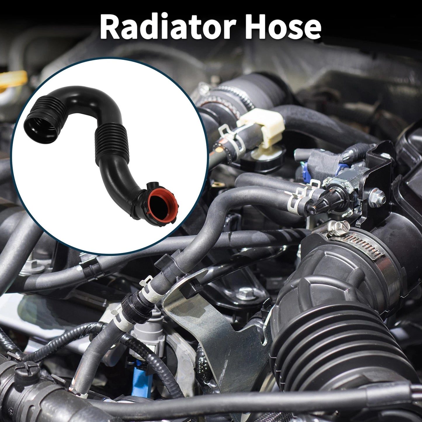 Radiator Hose for Mercedes-Benz Sprinter Bus (No. 9065282224) Rubber