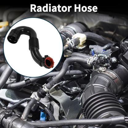 Radiator Hose for Mercedes-Benz Sprinter Bus (No. 9065282224) Rubber