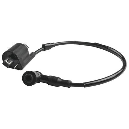 2 x Ignition Coils Left & Right / 12103CM / ABS Plastic for ATVs Scooters