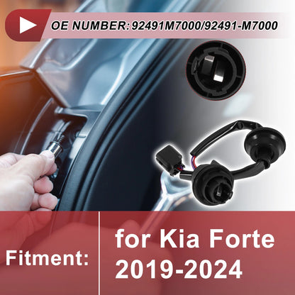 Tail Light Socket Wiring for Kia Forte (2019–2024) No. 92491M7000
