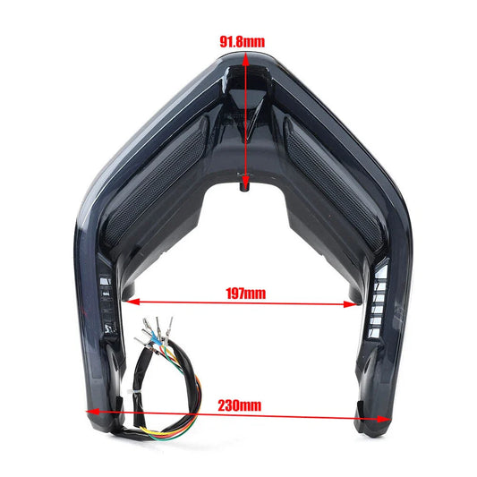 LED Tail Light Turn Signal for Ducati Streetfighter Panigale V4 V4S V2 (2018-2022)