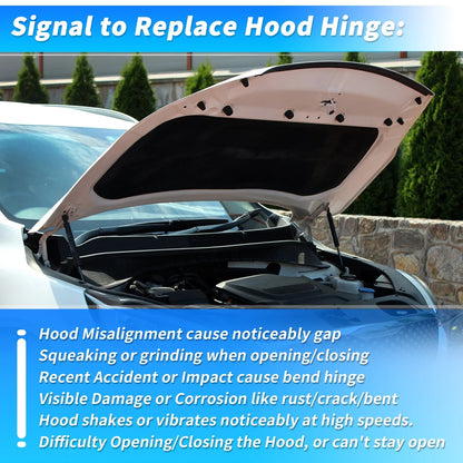 Hood Hinge for Dodge Charger, Chrysler 300 (2011-2022)