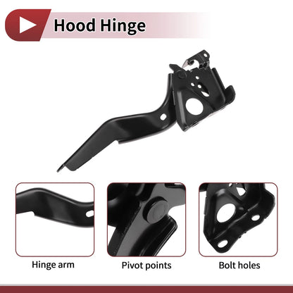 Hood Hinge for Toyota Highlander (2019–2024) Left Side