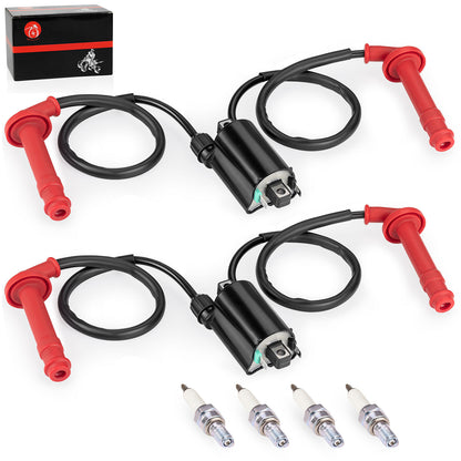 Set of 2 Ignition Coils & Spark Plugs for Honda CBR600F3 CBR600F2 (1991–1998)