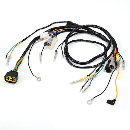 wiring harness for Yamaha Blaster 200 YFS200 (2003–2006)