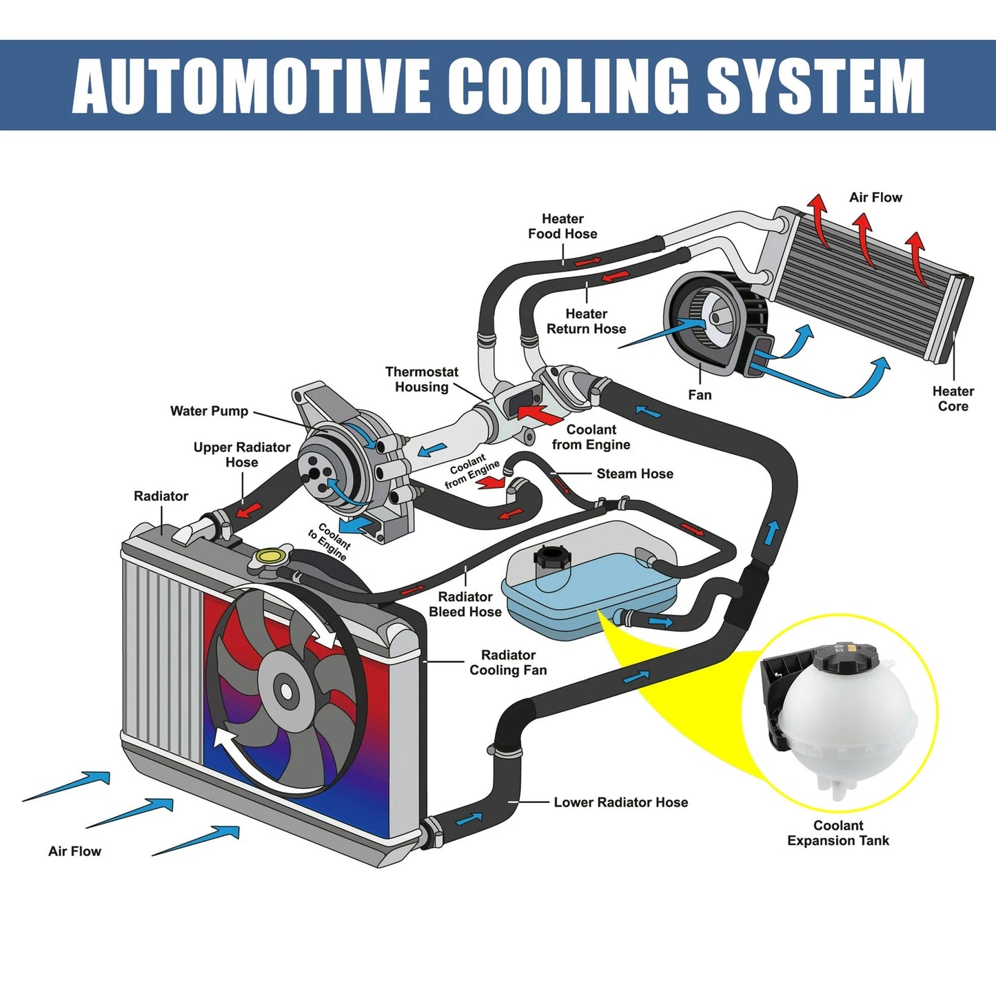 Coolant Radiator Reservoir Tank 17137642158 for BMW 1 Series (2012–2019)