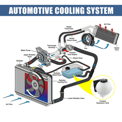 Coolant Radiator Reservoir Tank 17137642158 for BMW 1 Series (2012–2019)