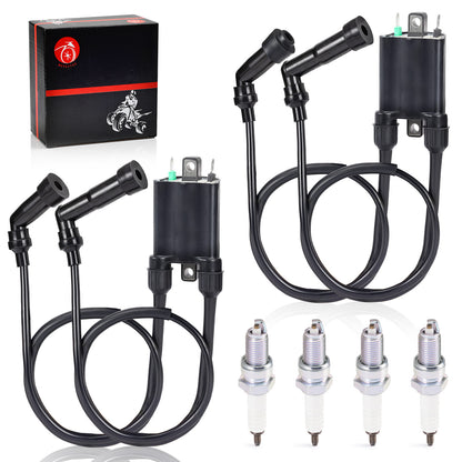 Ignition Coil and Spark Plug for Kawasaki VN1600 Vulcan 1600 (2003–2007)