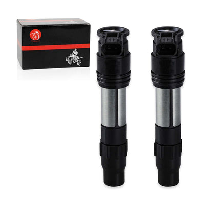 Ignition Coil Set for Kawasaki Ninja EX300 (2013–2017)