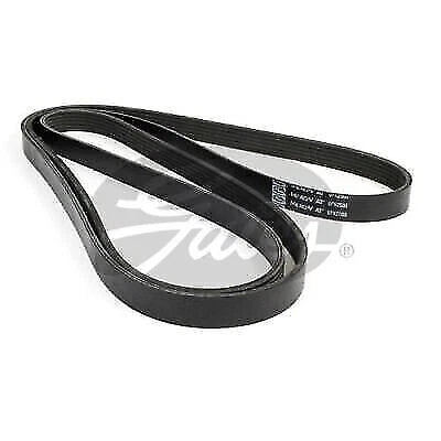 Drive Belt for Gates (6PK2500)