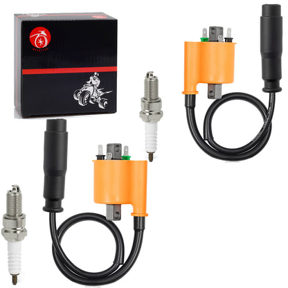 2X Ignition Coil for Kawasaki Teryx 750 800 (2009–2022)
