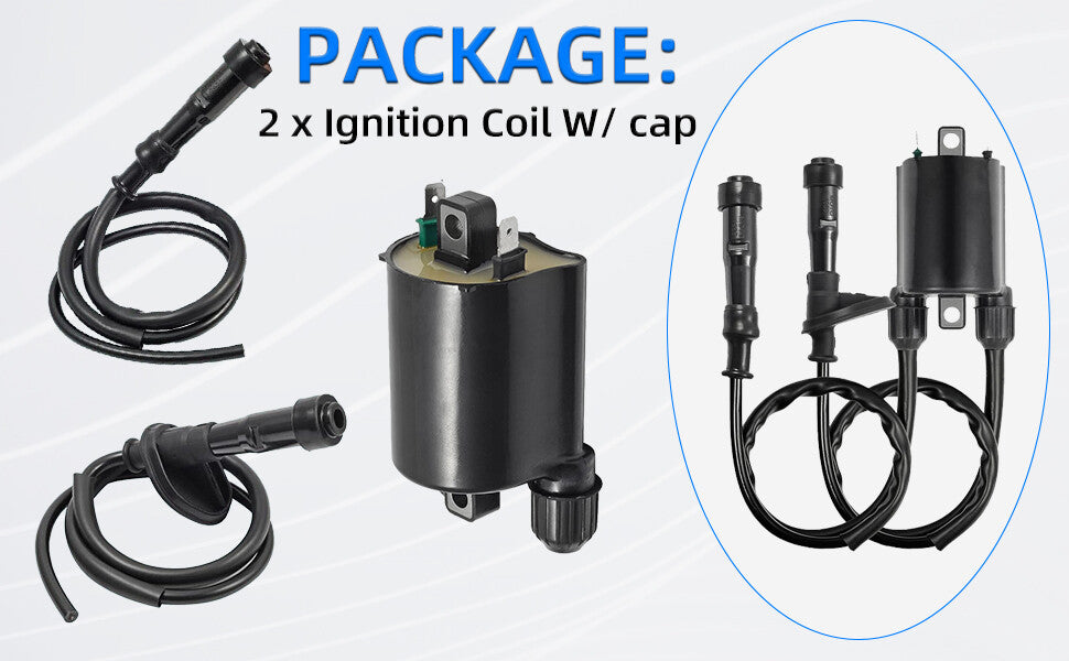 2 Sets of Ignition Coils for Honda VT750C Shadow (1998–2001)