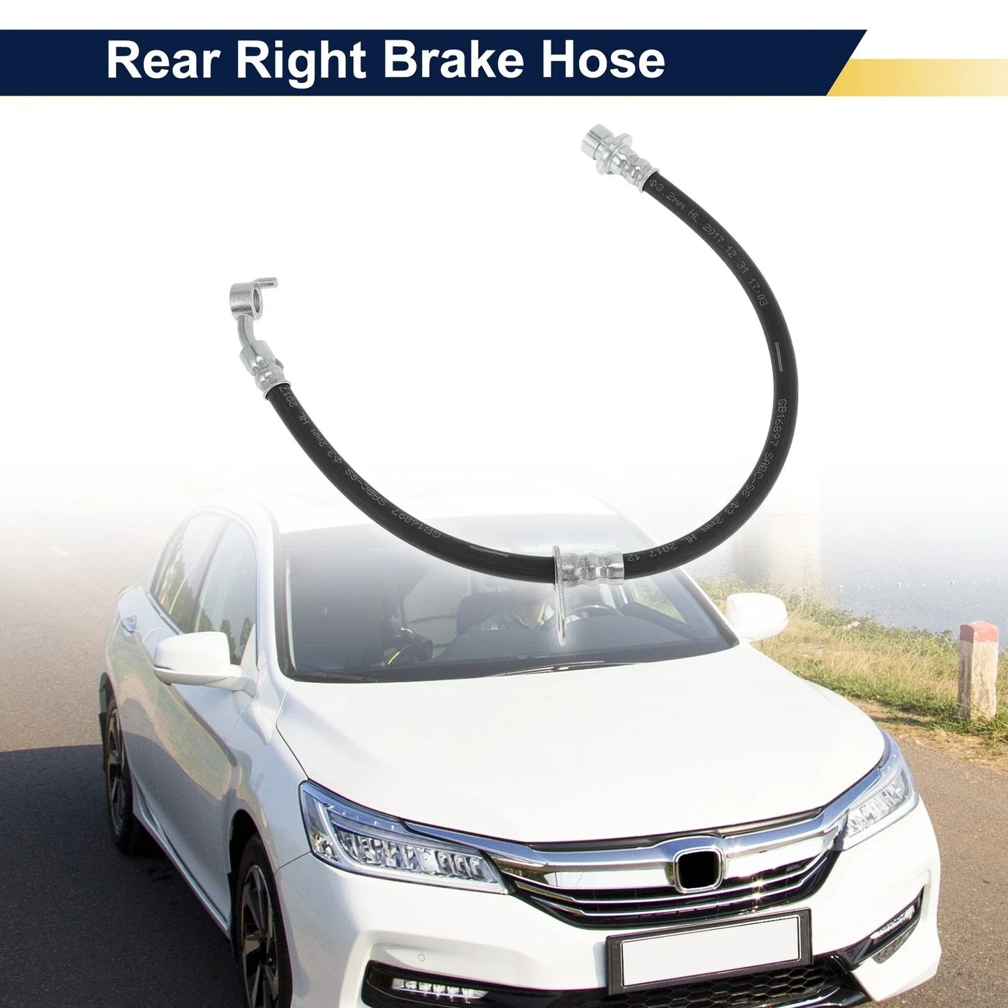 Rear Right Brake Hose for Honda Accord (2008-2012) Hydraulic Hose