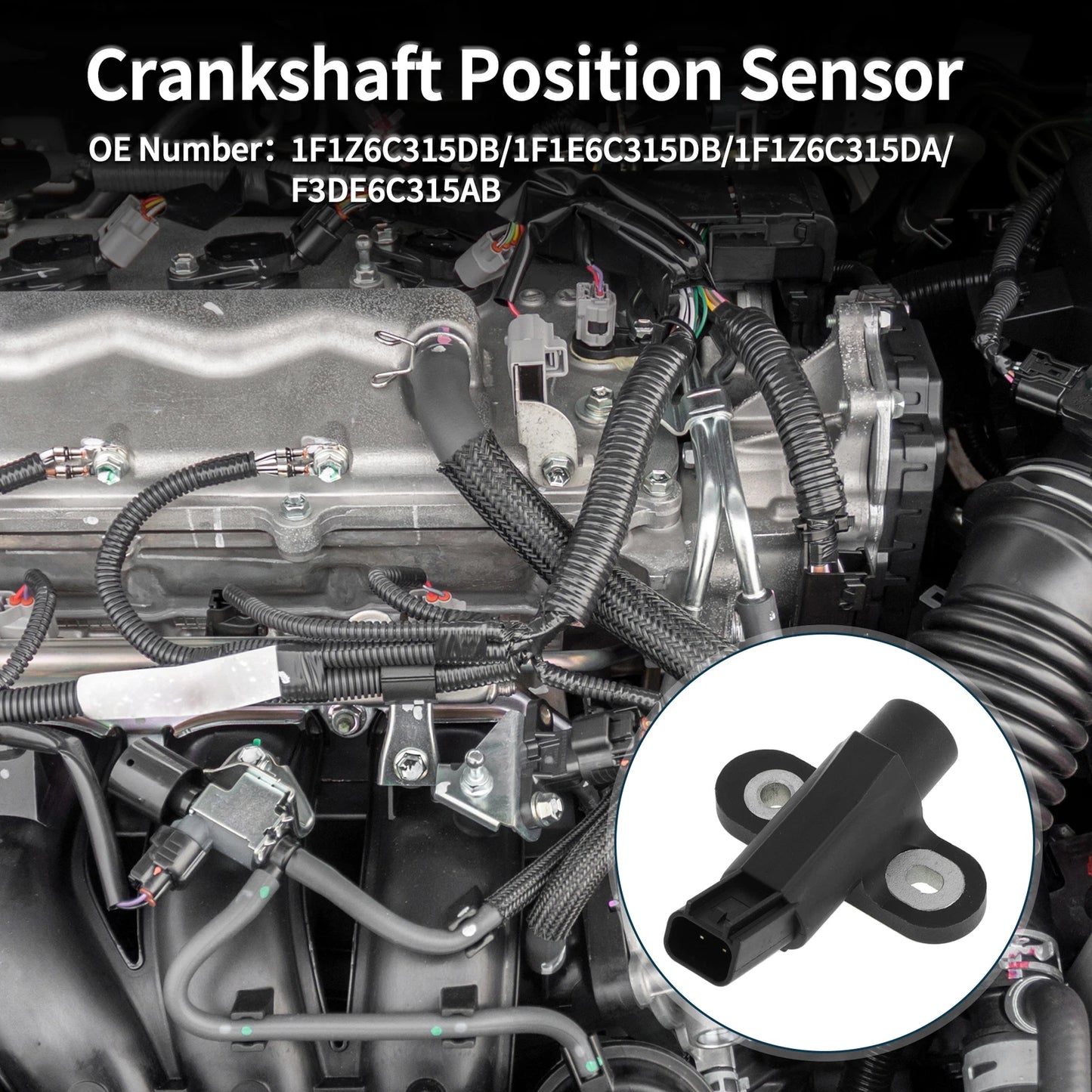 Crankshaft Position Sensor for Ford Ranger (1995–2008) 1F1Z6C315DB