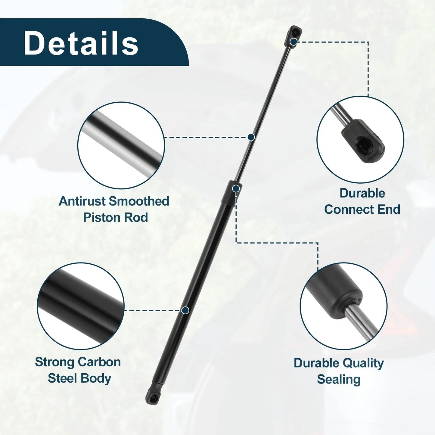 Hood Lift Supports Struts for Chevrolet Colorado (2015-2023)